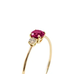 Anillo Dúo Mini