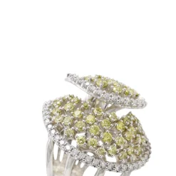 Anillo Salua