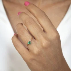 Anillo Suri