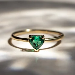 Anillo Suri