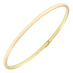 Brazalete esclava